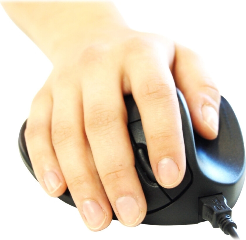 Bakker Elkhuizen Hippus Large - Mus - Høyrehendt - 2 Knapper - Kablet - Usb - Svart