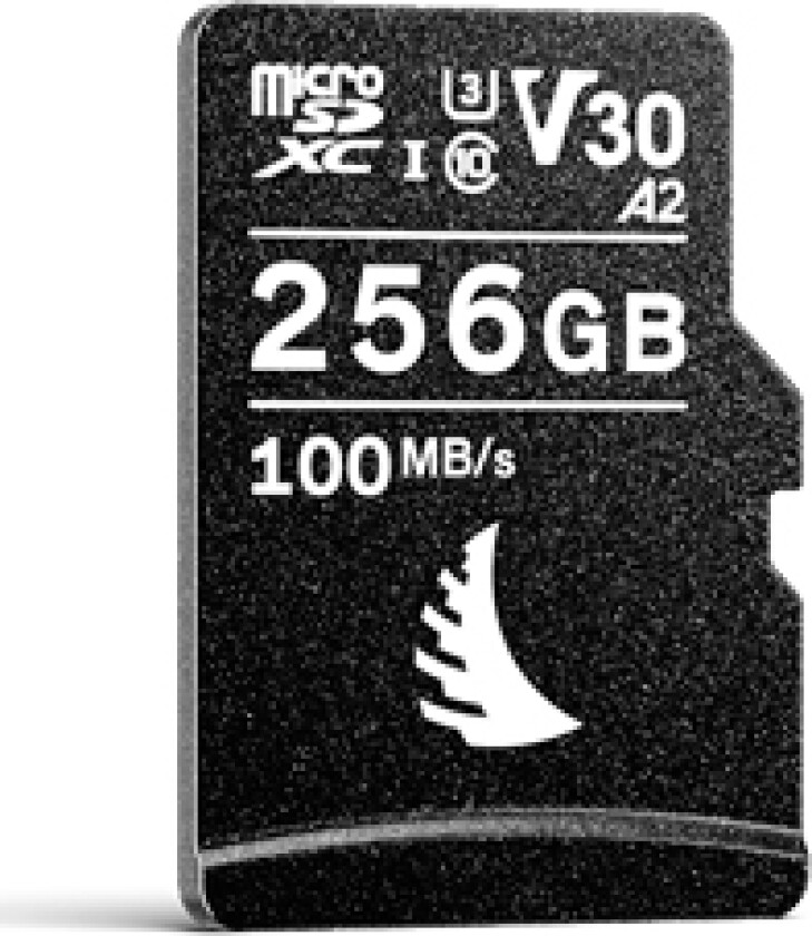 Technologies Av Pro Microsd V30, 256 Gb, Microsdxc, Klasse 10, Uhs-I, 100 Mb/S, 90 Mb/S