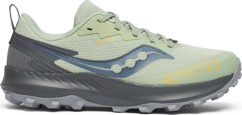 Women's Peregrine 14 GORE-TEX Sage/Carbon 36
