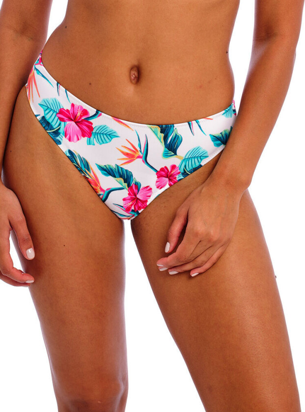 Swim Freya Palm Paradise Bikini Brief M M