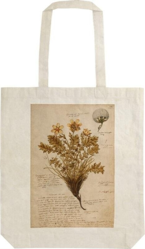 Bomullsveske Stbag36 Anno 1550 Shopper