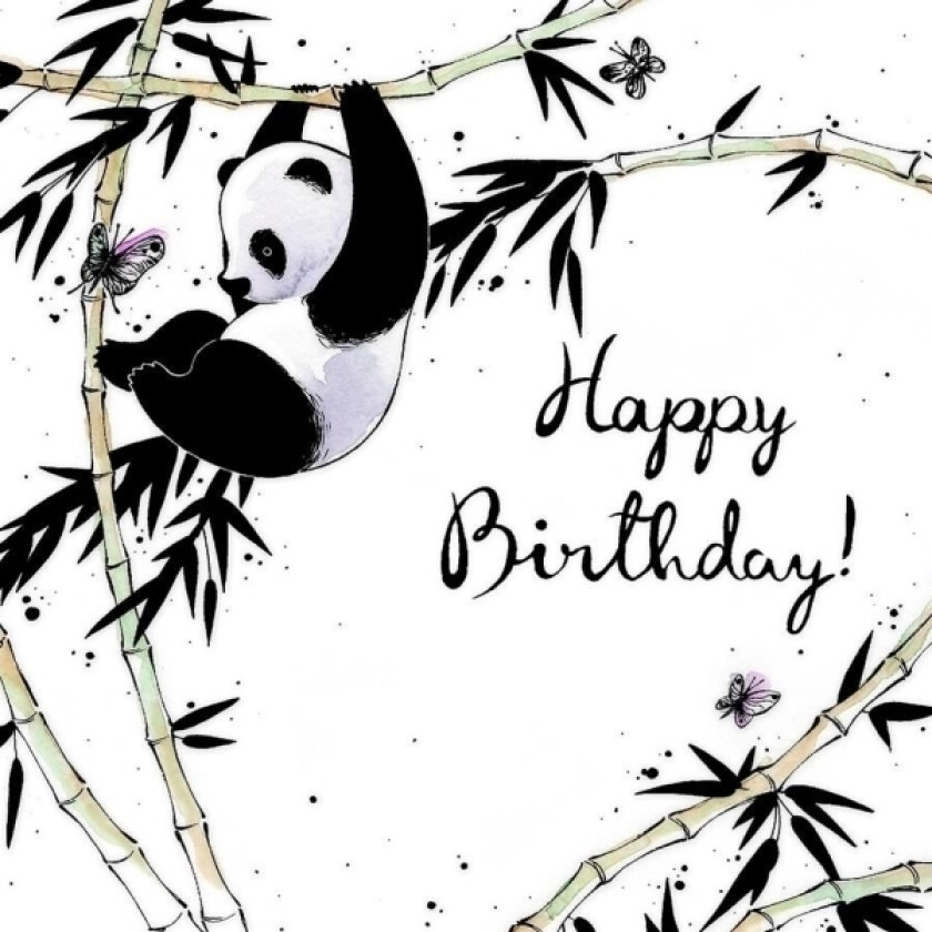 Swarovski Firkantet Panda Bursdagskort (Cl2503)