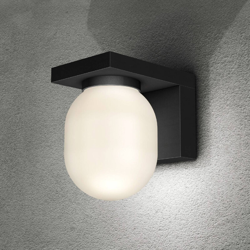 utendørs vegglampe Ovaali, glass, mørkegrå, IP65