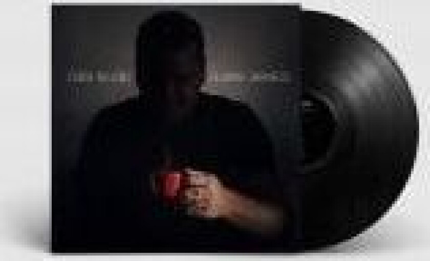 Willems Esben - Glowing Darkness (Vinyl Lp)