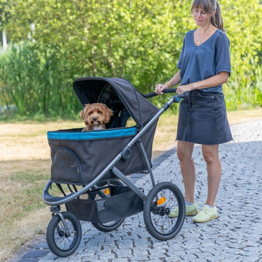 Buggy Premium Hundevogn Svart