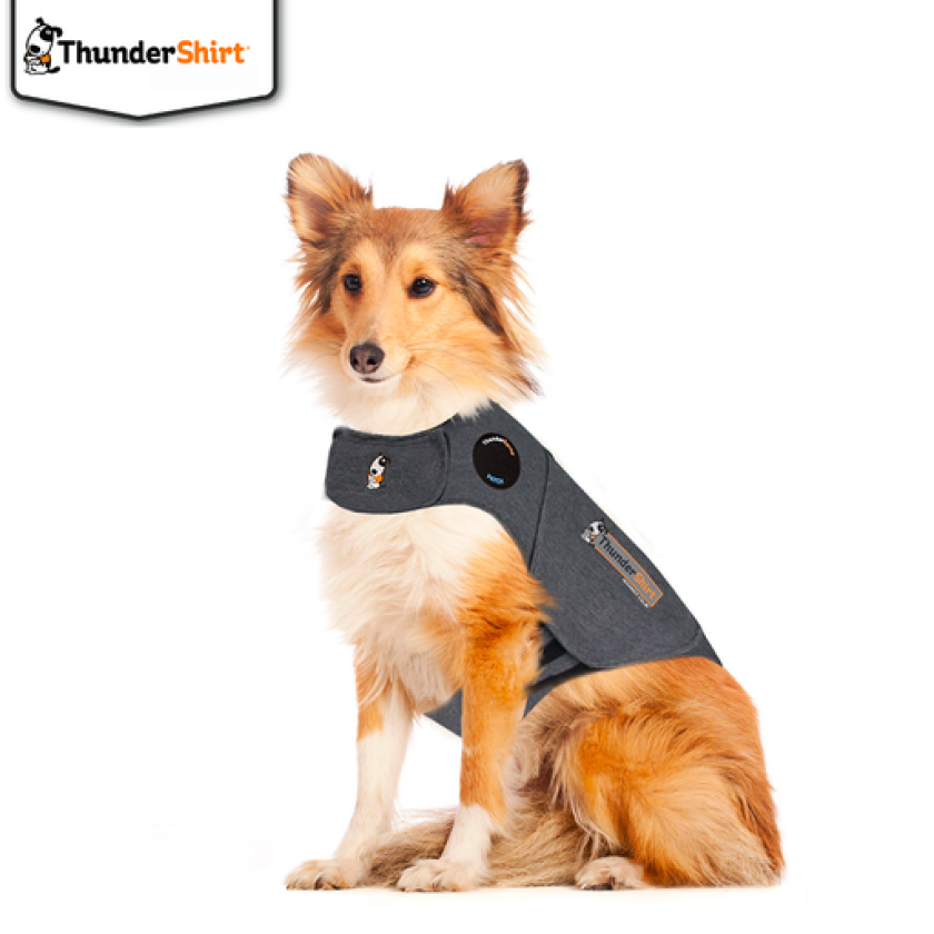 Thundershirt til Hund (XL)