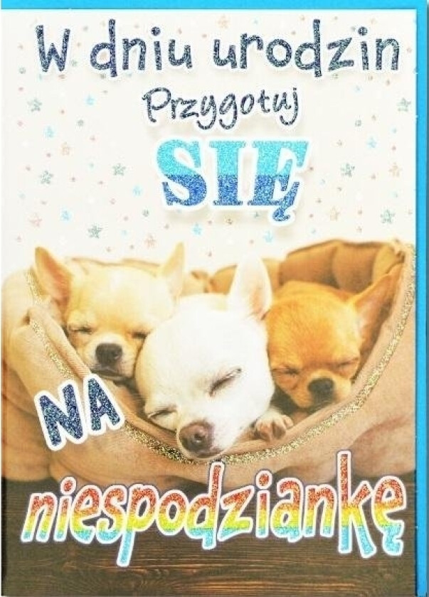 B6 Bursdagskort, Små Hunder, Sølv Ts92