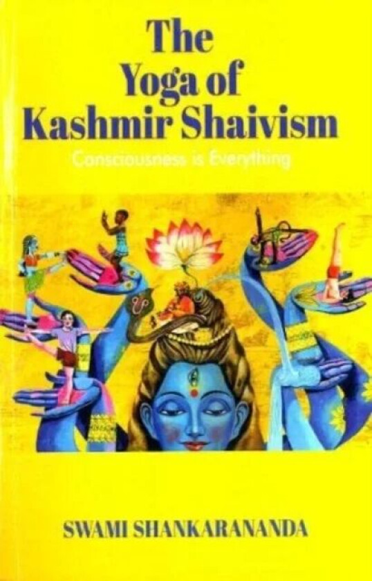 Consciousness is Everything av Swami Shankarananda