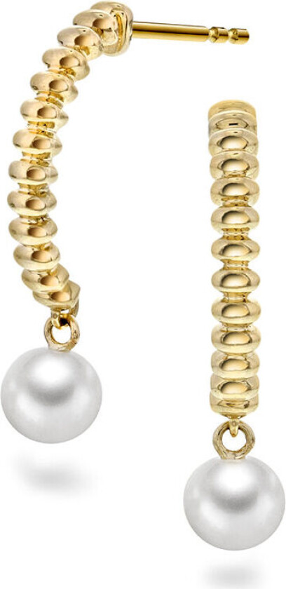 , Øredobber i 585 gult gull med ferskvannsperle