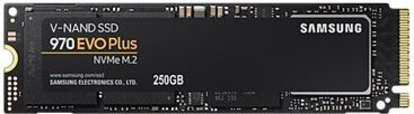 Ssd 970 Evo Plus 250Gb M2
