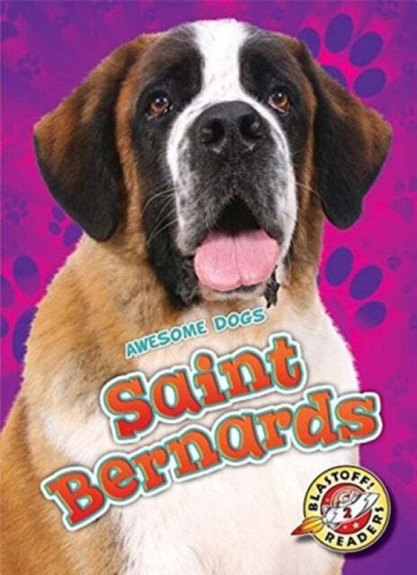 Saint Bernards av Nathan Sommer