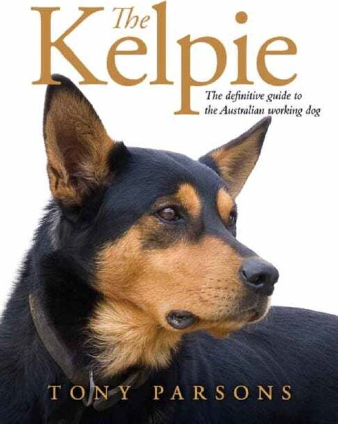 The Kelpie av Tony Parsons