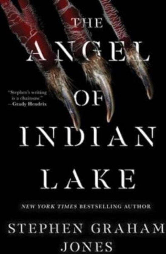 The Angel of Indian Lake av Stephen Graham Jones