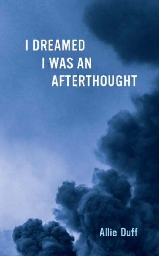 I Dreamed I Was an Afterthought av Allie Duff