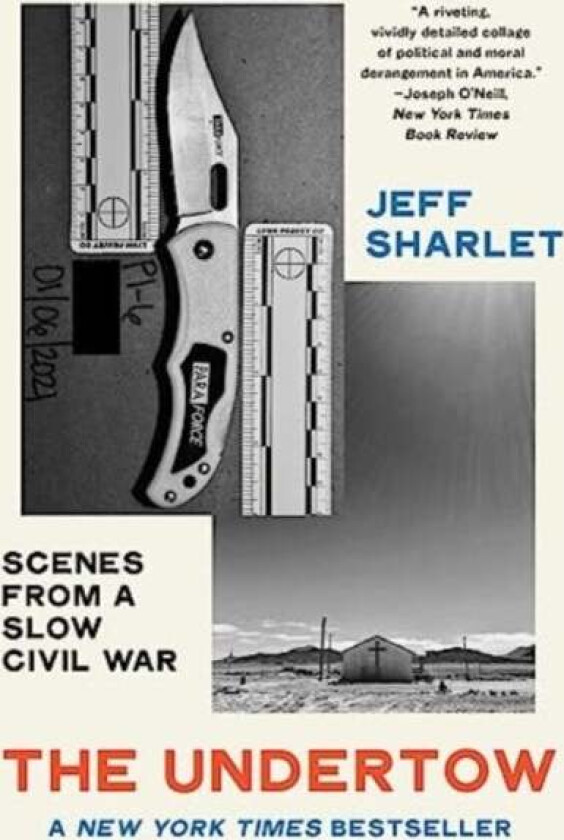 The Undertow av Jeff (Dartmouth College) Sharlet