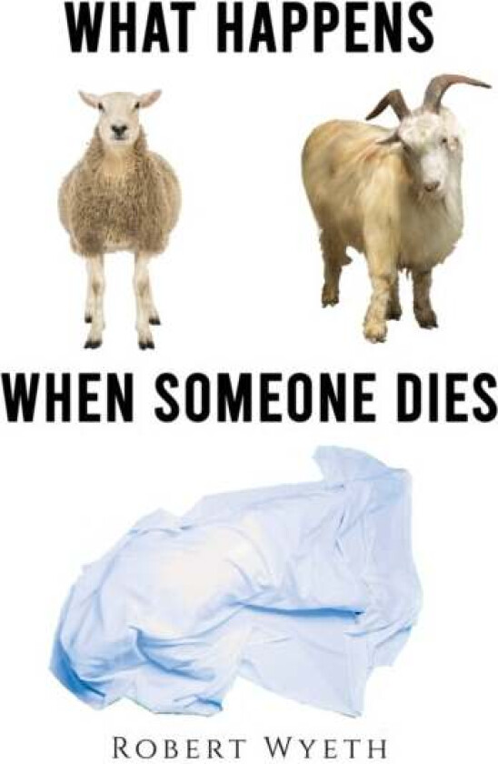 What Happens When Someone Dies av Robert Wyeth