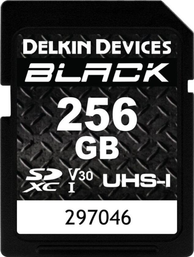 Karta Delkin Black Rugged Sdxc 256 Gb Class 10 Uhs-I V30 (Ddsdblk256gb)