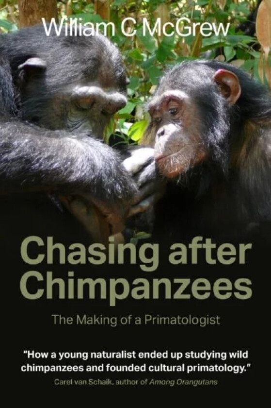 Chasing after Chimpanzees av William C McGrew
