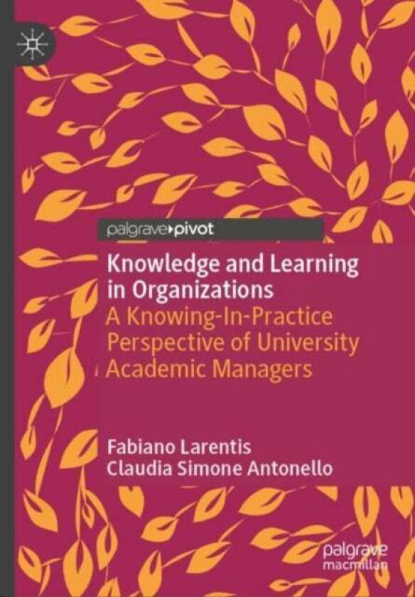 Knowledge and Learning in Organizations av Fabiano Larentis, Claudia Simone Antonello