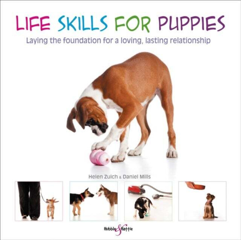 Life skills for puppies av Helen Zulch, Daniel Mills, Peter Baumber