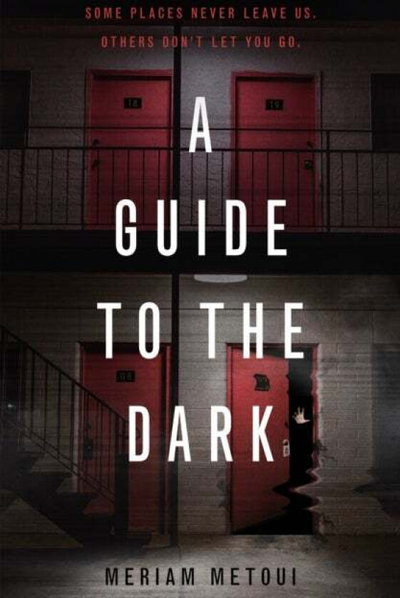 A Guide to the Dark av Meriam Metoui