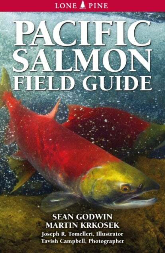 Pacific Salmon Field Guide av Sean Godwin