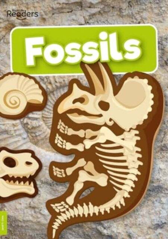 Fossils av Kirsty Holmes