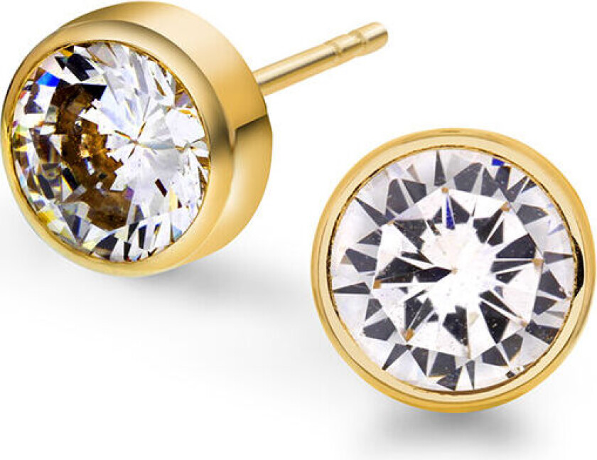 , Øredobber i 585 gult gull med zirkonia