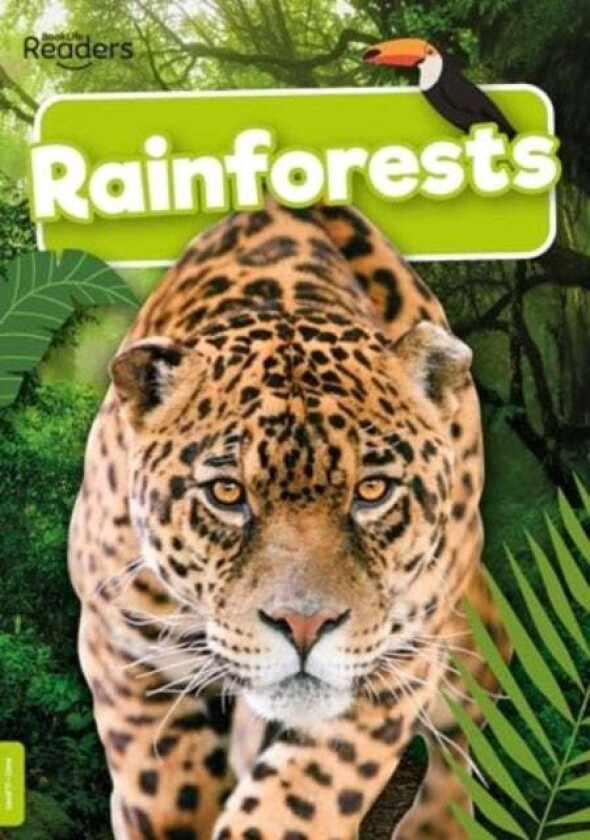 Rainforests av Mike Clark