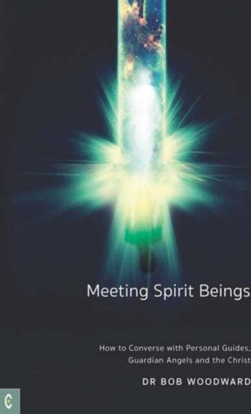 Meeting Spirit Beings av Bob Woodward