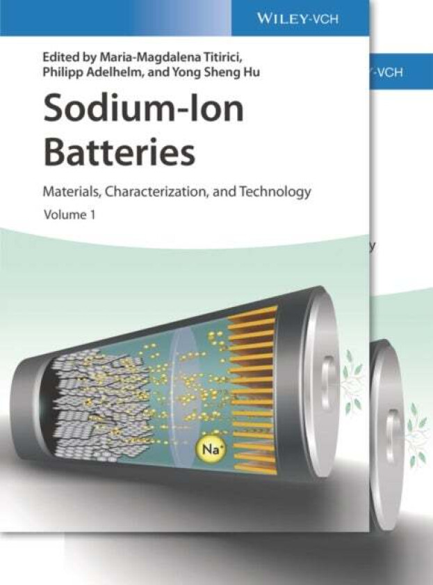 Sodium-Ion Batteries av M-M Titirici