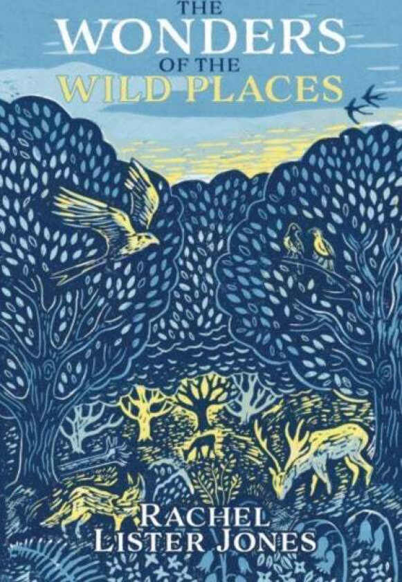 The Wonders of the Wild Places av Rachel Lister Jones