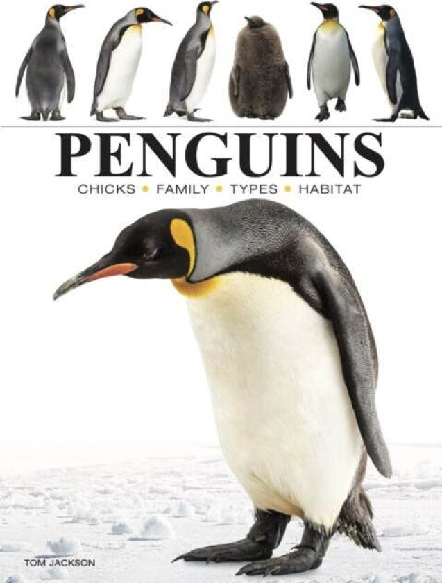 Penguins av Tom Jackson