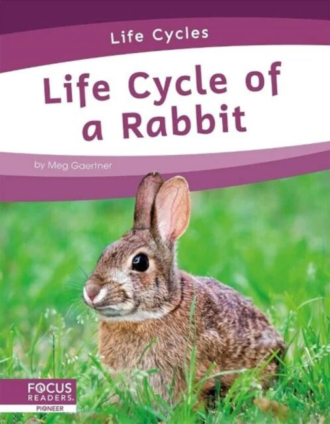 Life Cycles: Life Cycle of a Rabbit av Meg Gaertner