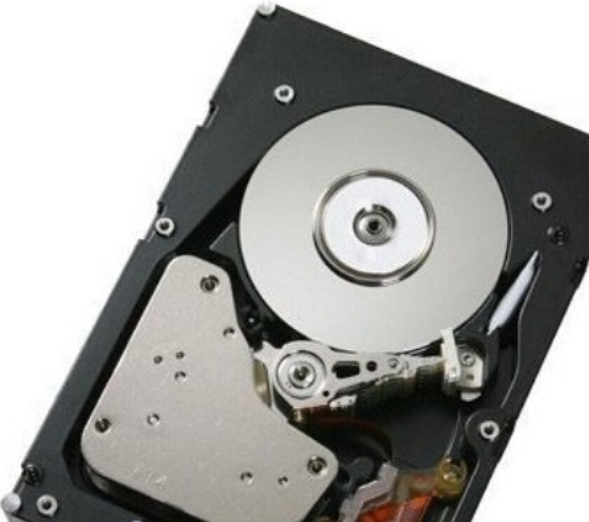 Ibm - Harddisk - 900 Gb - Hot-Swap - 2.5" - Sas 6Gb/S - 10000 Rpm - For System Storage Ds3524, Exp3524