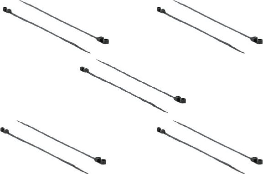 Delock Cable Tie With Fastening Eyelet - Kabelfestebånd - 16 Cm - Svart (En Pakke 10)