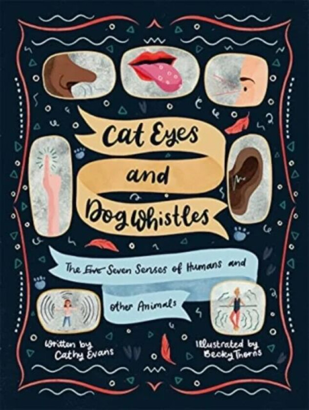 Cat Eyes and Dog Whistles av Cathy Evans