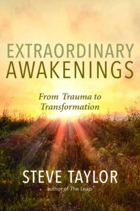 Extraordinary Awakenings av Steve Taylor