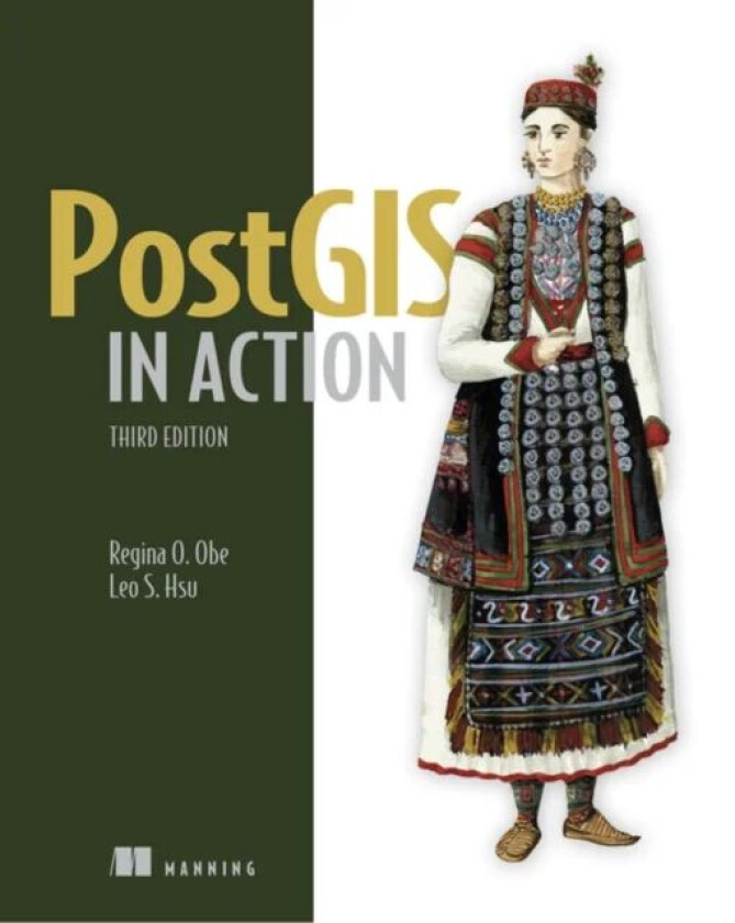 PostGIS in Action, Third Edition av Regina Obe, Leo Hsu