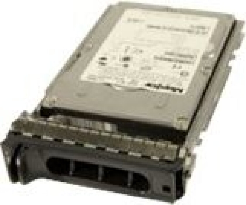 Origin Storage - Harddisk - 300 Gb - Hot-Swap - 3.5" - Sas - 15000 Rpm - For Dell Poweredge 1950, 29Xx, 6950, R300, R900, R905, T300, T605 Powervaul