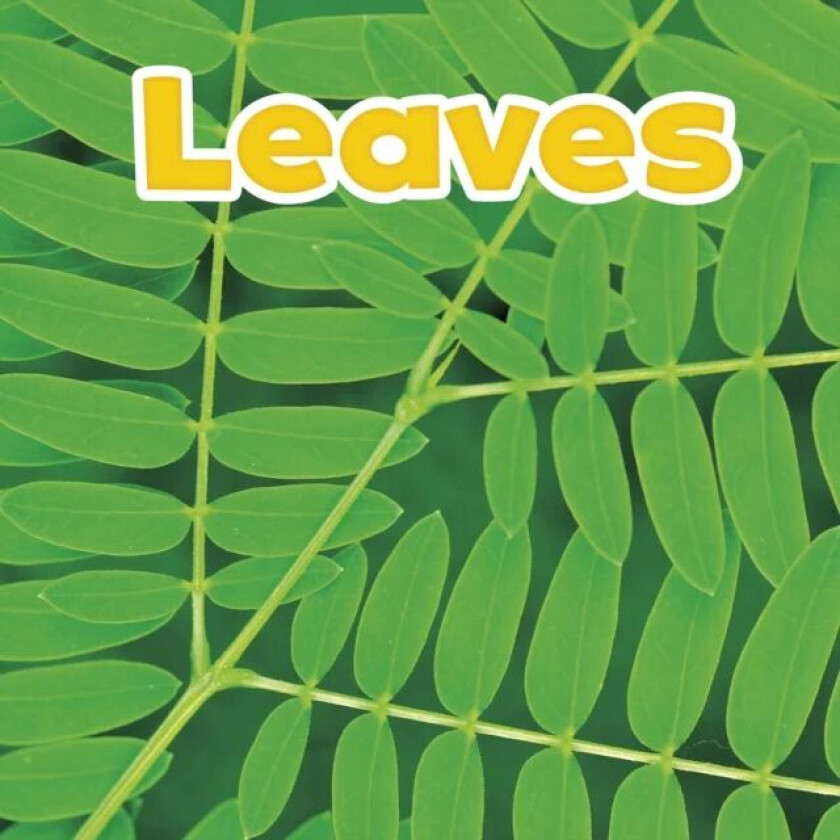 Leaves av Marissa (Product Manager) Kirkman