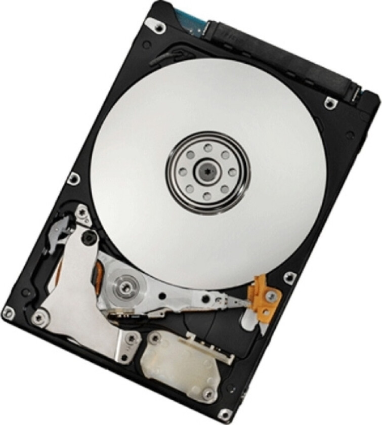 - Harddisk - 300 Gb - Hot-Swap - 3.5" - Sas - 15000 Rpm - For System X32xx X32xx M2 X3350 X3400 X3400 M2 X35xx X36xx X3755 X3800