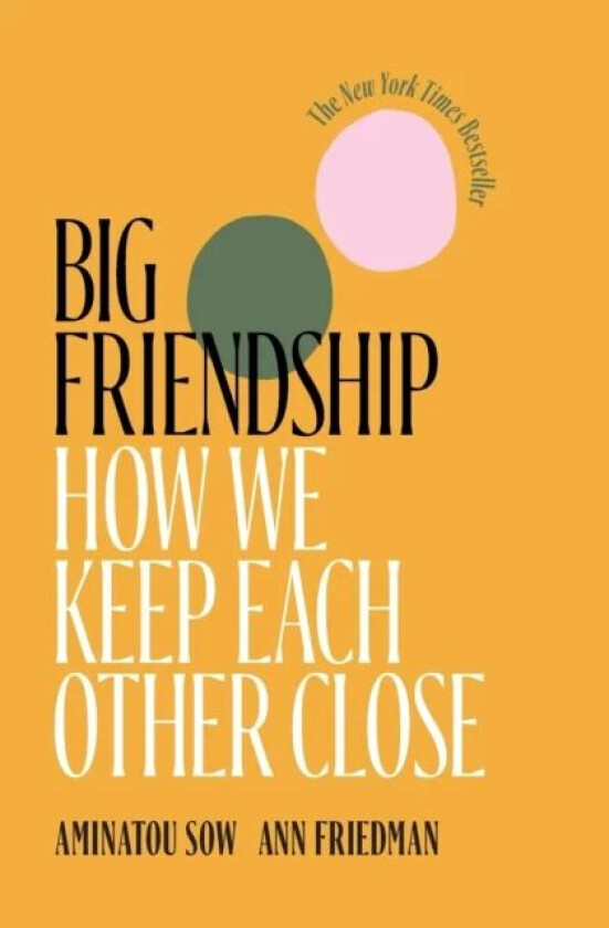 Big Friendship av Aminatou Sow, Ann Friedman