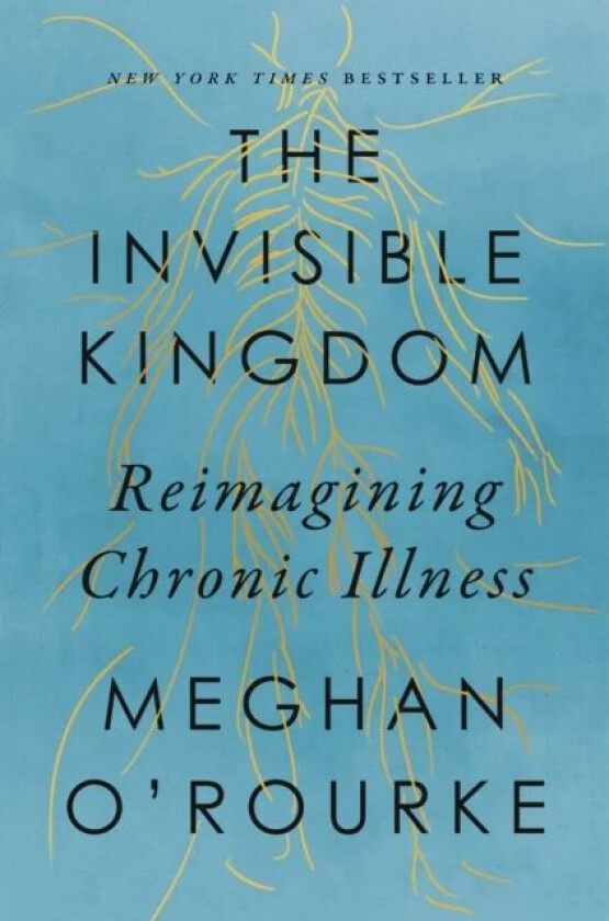 The Invisible Kingdom av Meghan O'Rourke