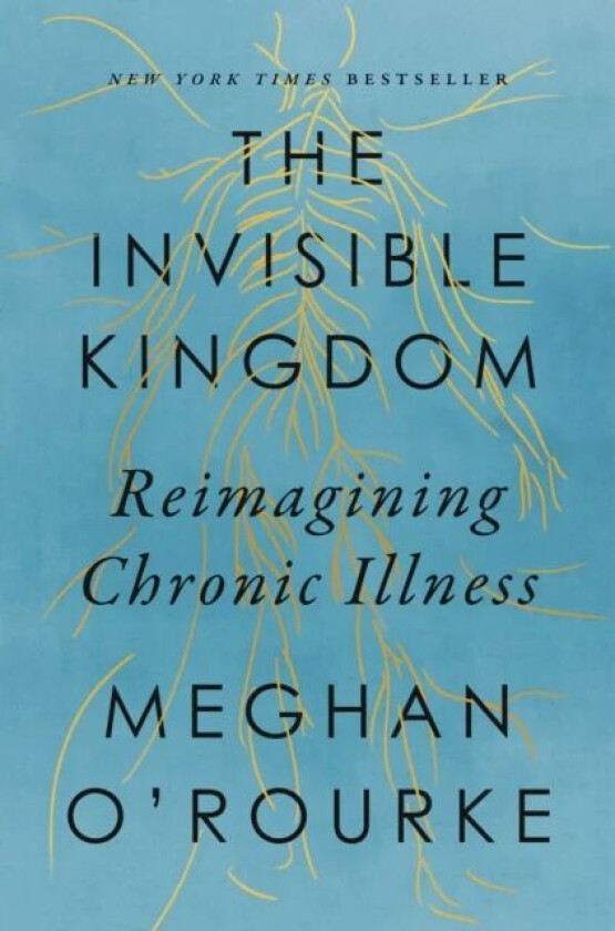 The Invisible Kingdom av Meghan O&#039;Rourke