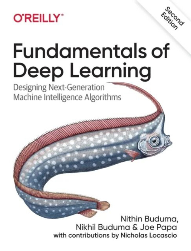 Fundamentals of Deep Learning av Nithin Buduma, Nikhil Buduma, Joe Papa