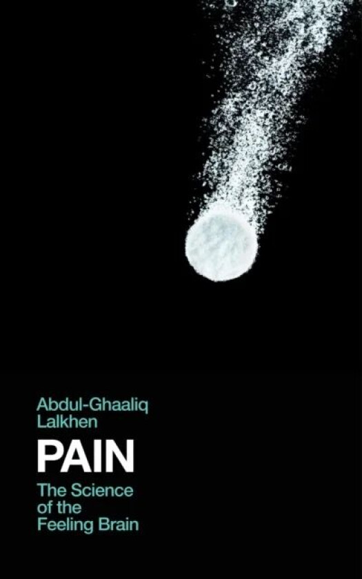 Pain av Abdul-Ghaaliq Lalkhen
