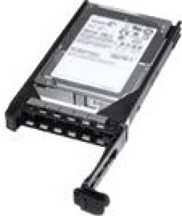 Fully Assembled - Harddisk - 300 Gb - Intern - 2.5" - Sas 6Gb/S - 10000 Rpm - For Poweredge M520 (2.5"), R220 (2.5")