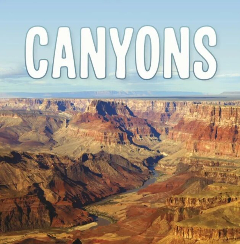 Canyons av Lisa J. Amstutz