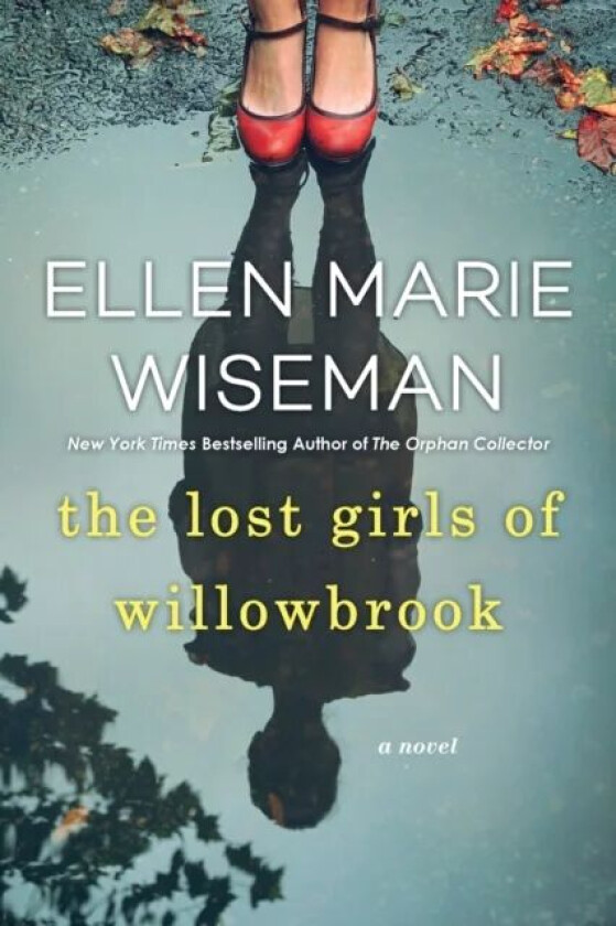 The Lost Girls of Willowbrook av Ellen Marie Wiseman